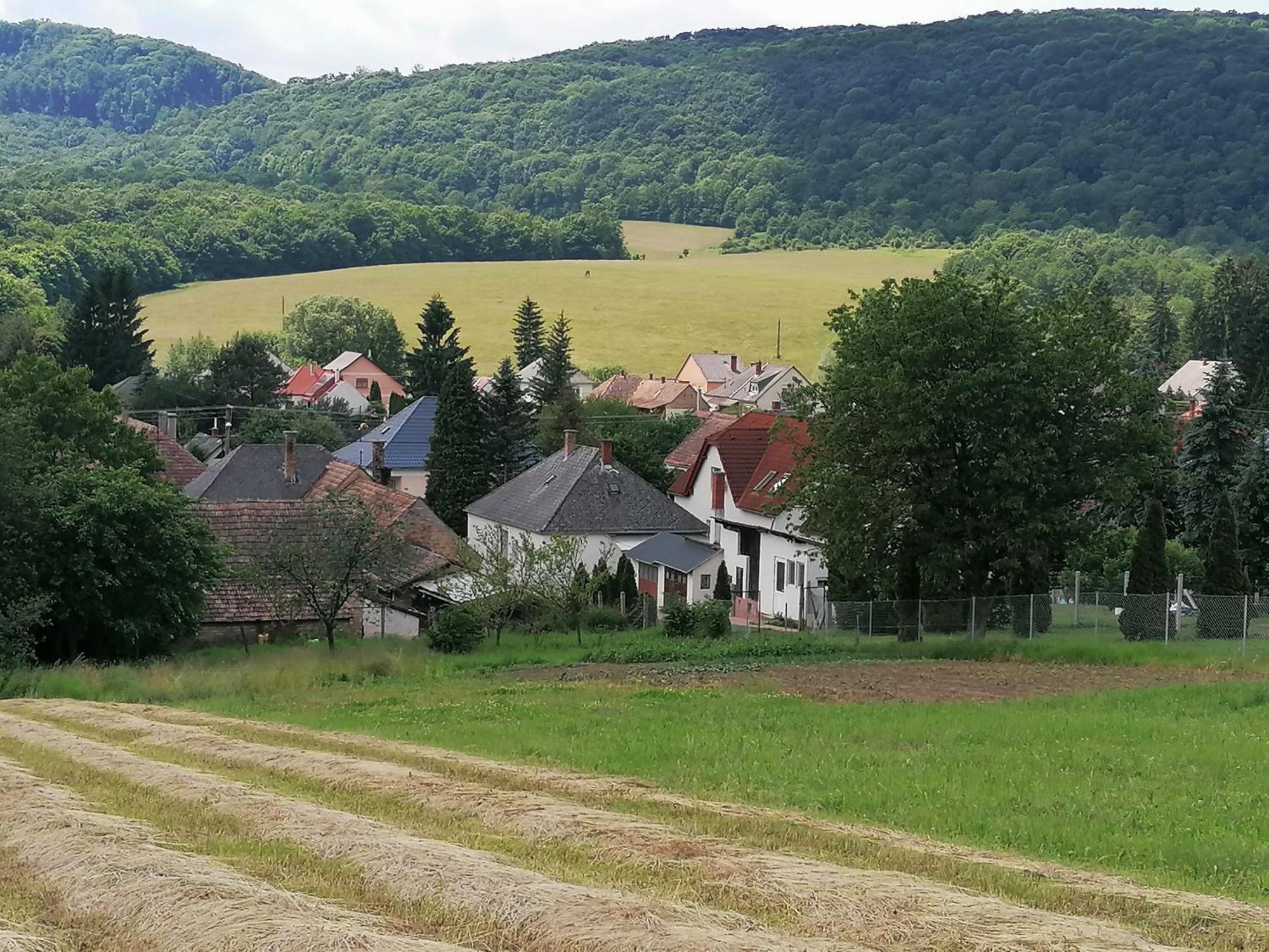 Borostyankut Wellness Home Bakonybel Bakonybél Exterior foto