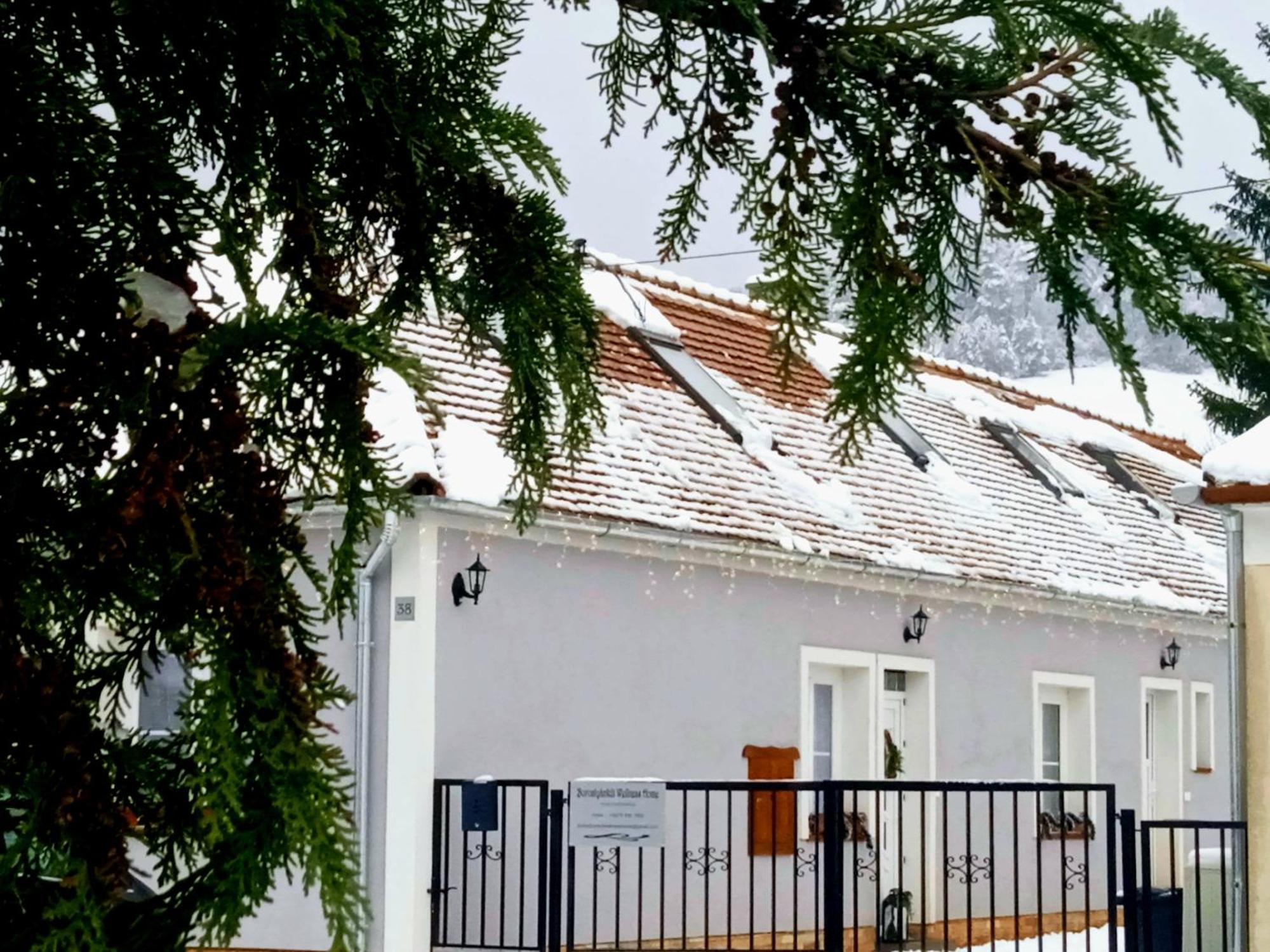 Borostyankut Wellness Home Bakonybel Bakonybél Exterior foto